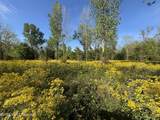  Sparta Road - Photo 56