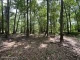 30.14 Acre Highway 57 - Photo 5