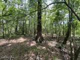 30.14 Acre Highway 57 - Photo 6