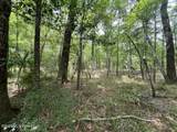 30.14 Acre Highway 57 - Photo 7