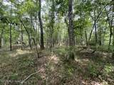 30.14 Acre Highway 57 - Photo 8