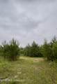  Ferguson Mill Road - Photo 16