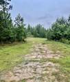  Ferguson Mill Road - Photo 25