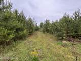  Ferguson Mill Road - Photo 27