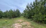  Ferguson Mill Road - Photo 28
