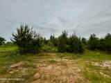  Ferguson Mill Road - Photo 30