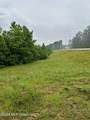  Ferguson Mill Road - Photo 38