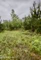  Ferguson Mill Road - Photo 40