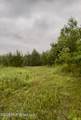  Ferguson Mill Road - Photo 41