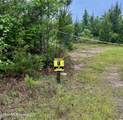  Ferguson Mill Road - Photo 8