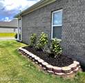 5347 Sipsey Way - Photo 24