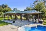 6041 Pine Tree Drive - Photo 7