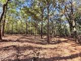  Stout Meadows Lane - Photo 1