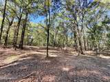  Stout Meadows Lane - Photo 4