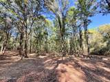 Stout Meadows Lane - Photo 5