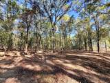  Stout Meadows Lane - Photo 6