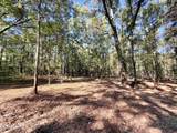  Stout Meadows Lane - Photo 8