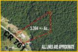 100 County Road 761 - Photo 3