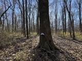  Curtis Road - Photo 104