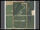  Curtis Road - Photo 15
