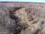 Curtis Road - Photo 28