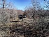  Curtis Road - Photo 30