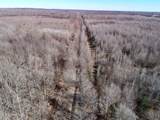  Curtis Road - Photo 43