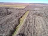  Curtis Road - Photo 54