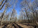  Curtis Road - Photo 95