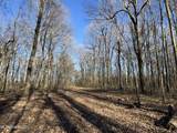  Curtis Road - Photo 96