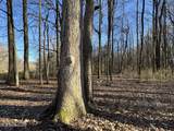  Curtis Road - Photo 99