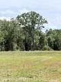  Hwy 613 - Photo 3