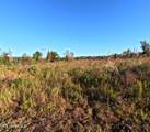  William Warren Road - Photo 13