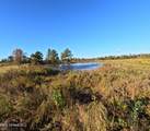  William Warren Road - Photo 14