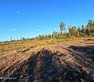  William Warren Road - Photo 24