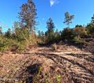  William Warren Road - Photo 27