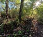  William Warren Road - Photo 33