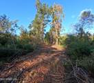  William Warren Road - Photo 34