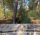  William Warren Road - Photo 43