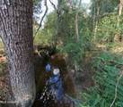  William Warren Road - Photo 44