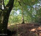  William Warren Road - Photo 46