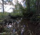  William Warren Road - Photo 47