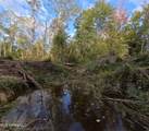  William Warren Road - Photo 49