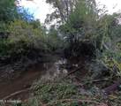  William Warren Road - Photo 55