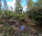  William Warren Road - Photo 57