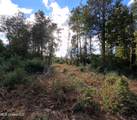  William Warren Road - Photo 59