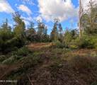 William Warren Road - Photo 66