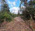  William Warren Road - Photo 68