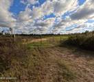  William Warren Road - Photo 75