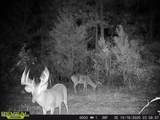 001 Farr Road - Photo 108